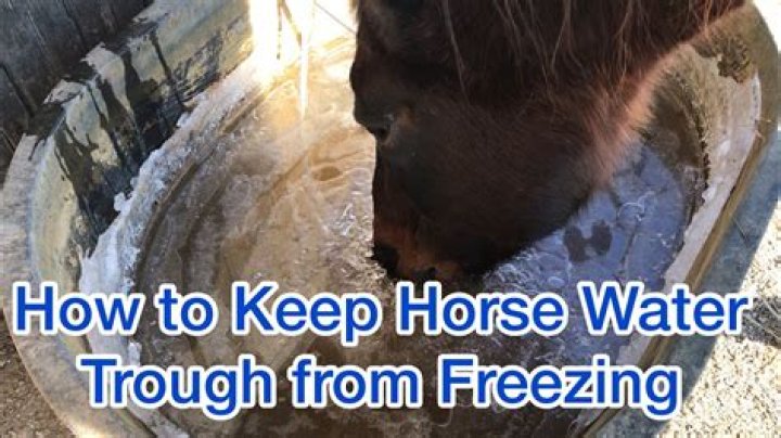 How do you keep a horses trough from freezing?