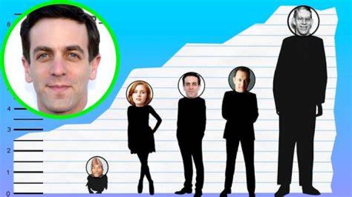 How tall is bj novak