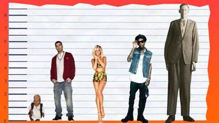 How Tall Is Drake's Mom? You'll Never Guess