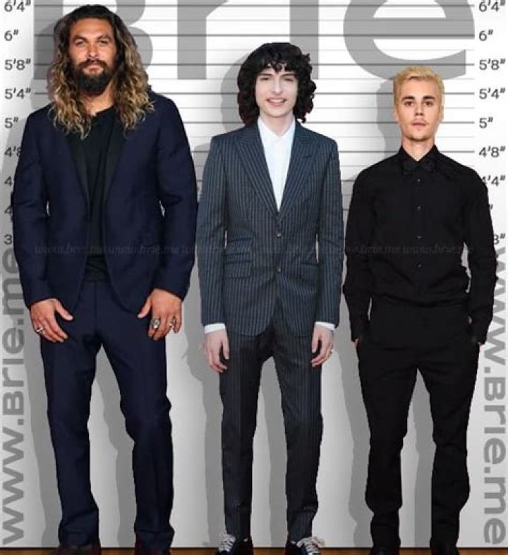 How Tall Is Finn Wolfhard? What You Should Know About Finn Wolfhard
