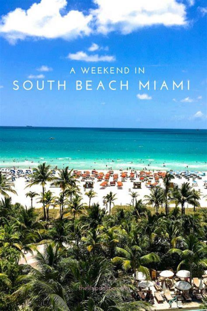 I went to South Beach but Hoopz and Flava Flav share London vacation