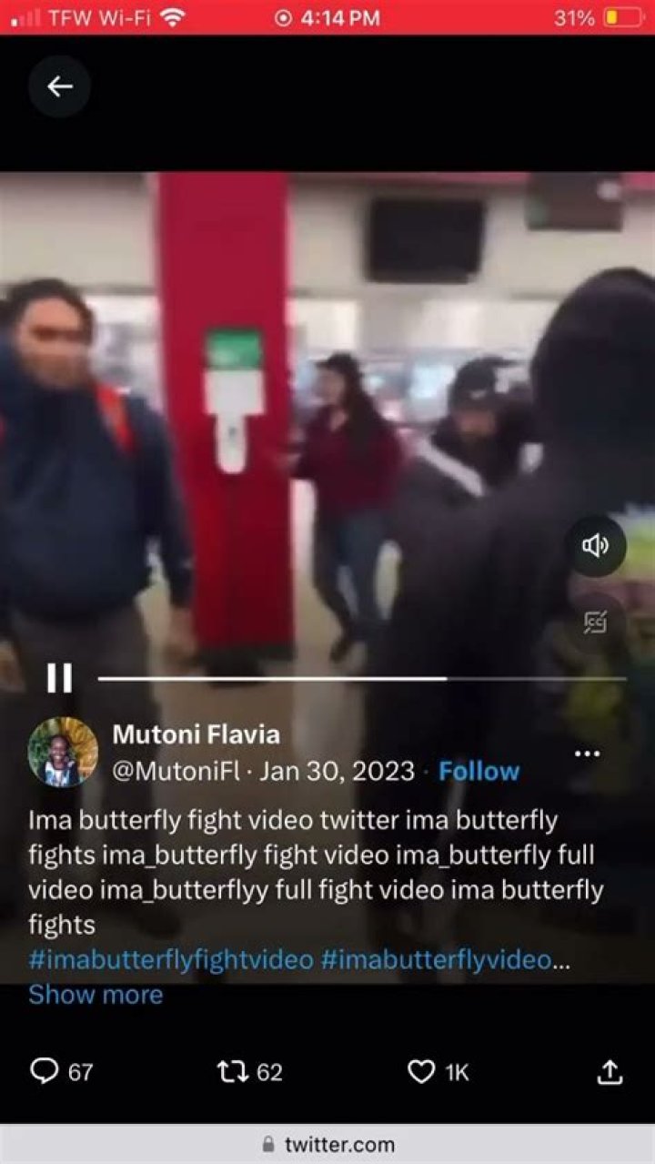 Ima Butterfly Fight Brawl Video augmenting emarged On Social Media: Heres Why