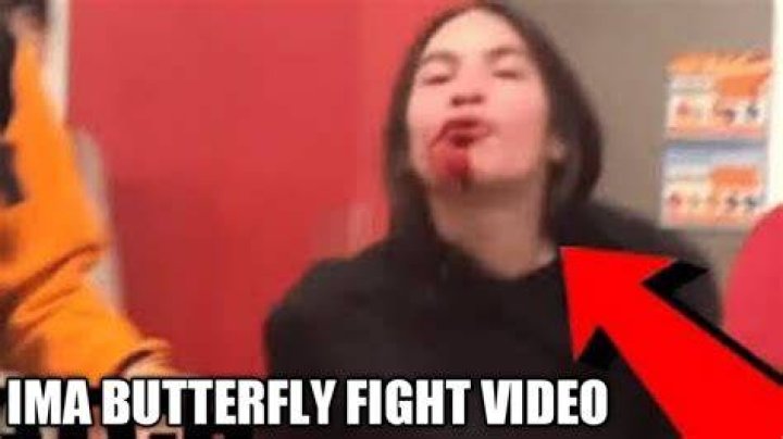 ima butterfly fight video twitter ima_butterflyy video , ima butterfly