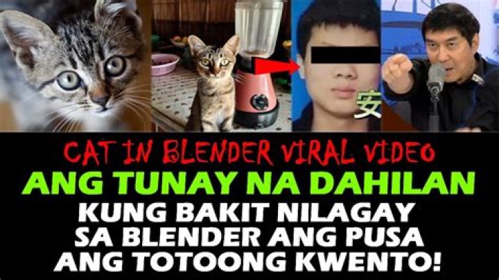 Insights Into The "Cat In Blender Video Twitter" Incident