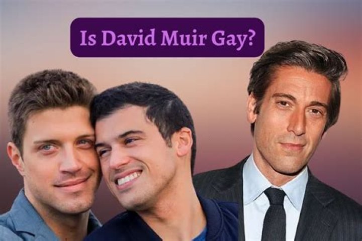 Is David Muir Gay? Who's David Muir's Partner?