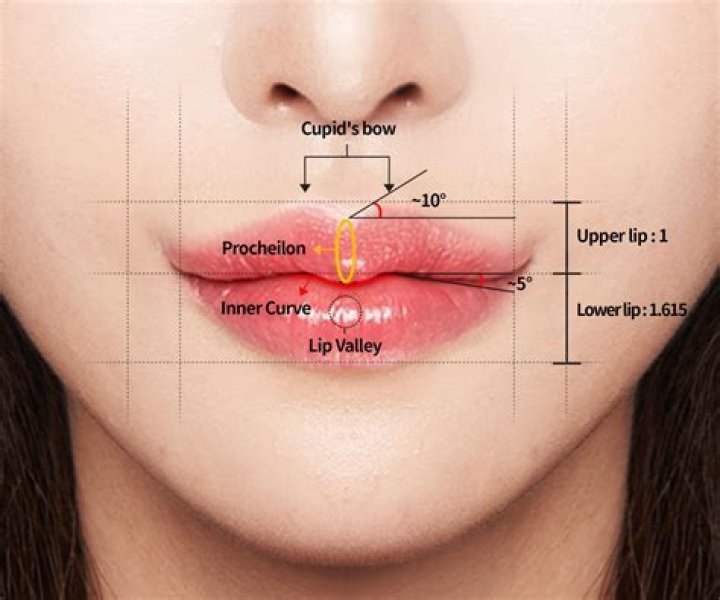 Is having a Cupid bow or lip dip bad ? r/QOVESStudio
