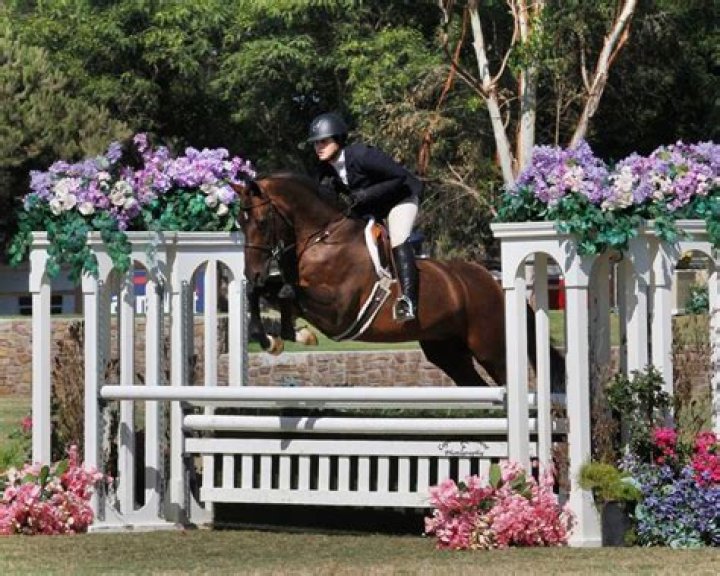Iwasaki, Rinaldi, Buckingham Makes Their Marks at US Junior Hunter