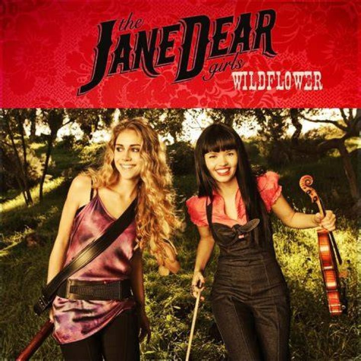 JaneDear Girls, Wildflower Lyrics Uncovered