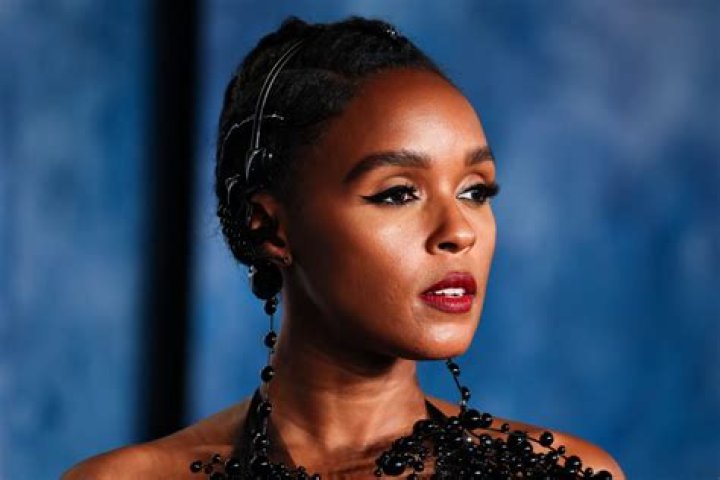 Janelle Monae Flashes Fans Again As "The Age of Pleasure" Tour Concludes