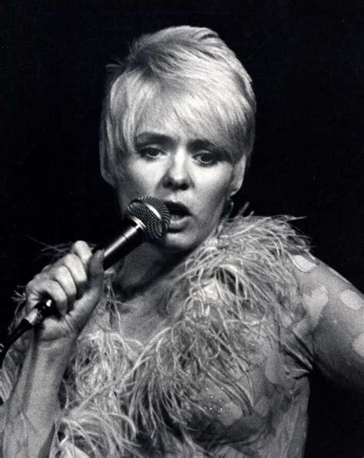 Joey Heatherton biography Age, measurements, net worth, movies Legit.ng