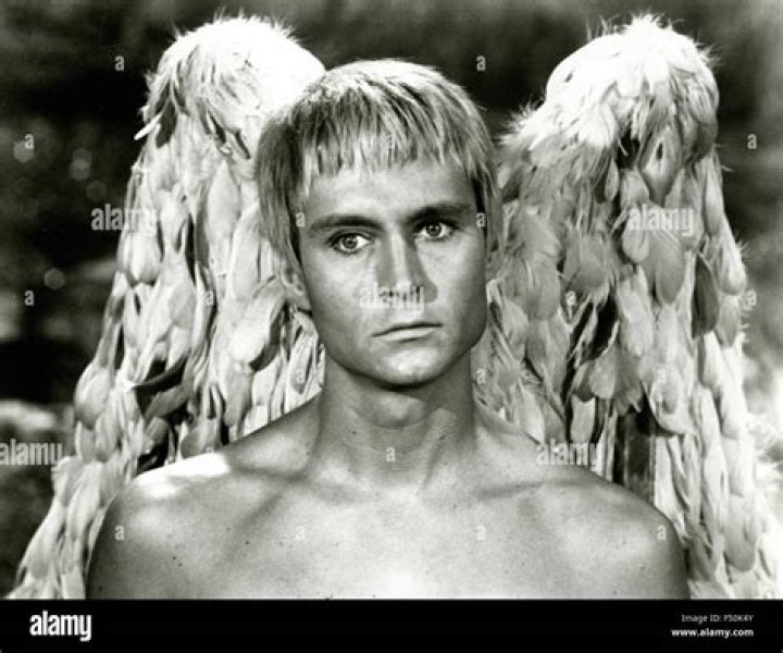 John Phillip Law