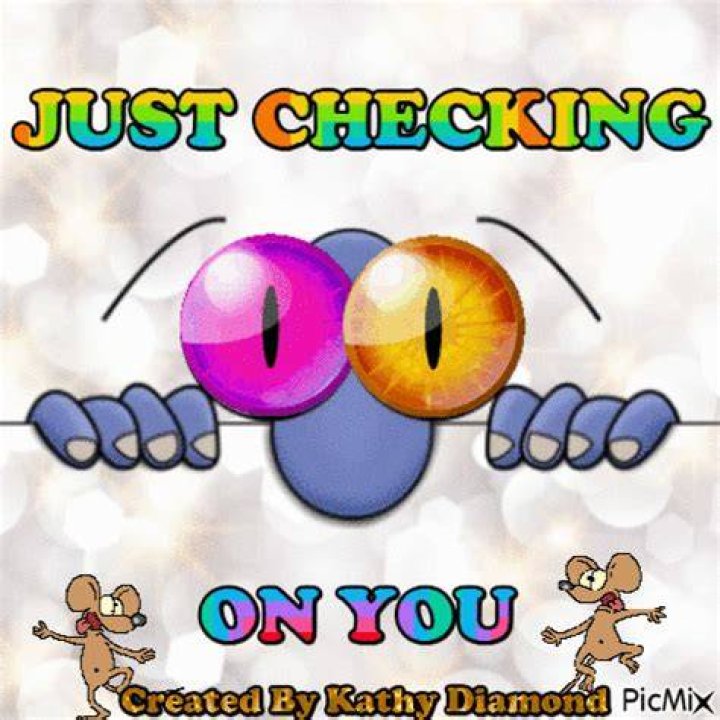 Just Checking On You Free animated GIF PicMix
