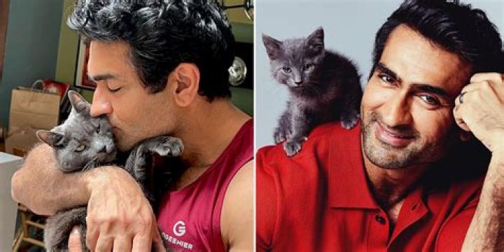 Kumail Nanjiani Height, Weight, Age, Wife, Biography & Family 5 Kumail Nanjiani with his cat