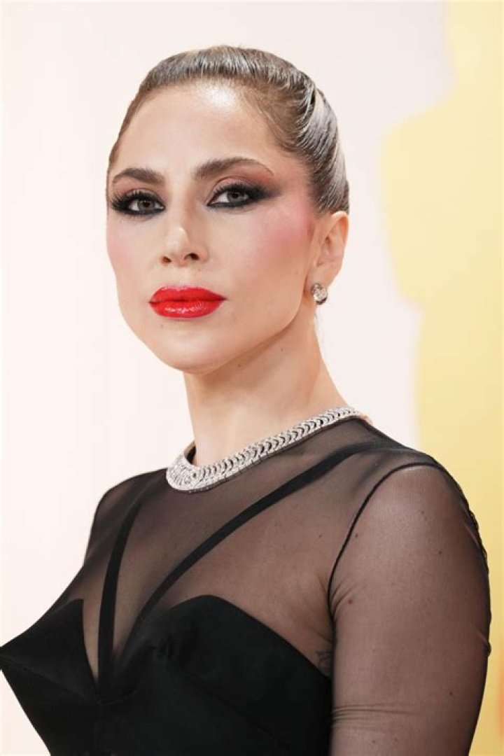 Lady Gaga's crotch at the 52nd Annual GRAMMY Awards