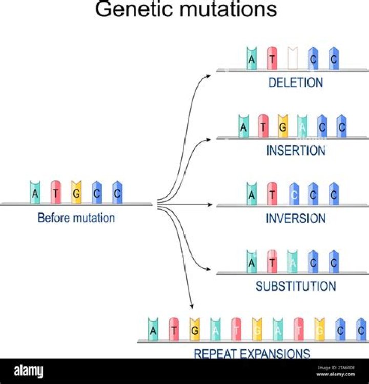 &laquo; Des jumeaux par substitution aussi magnifiques que leur p&egrave;re Les