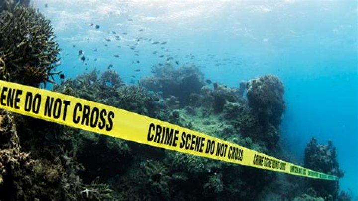 Lead diver and investigator talks about finding Jed Hall’s vehicle in