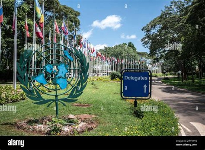 Linda ThomasGreenfield, the New UN Envoy, Heads Into Her Job Sprinting