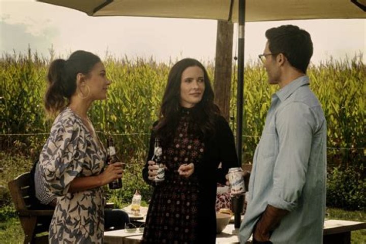 ‘Entourage’ Star Emmanuelle Chriqui Reveals ‘I Want to Adopt!’ Life