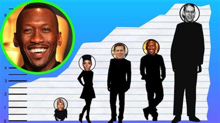 Mahershala Ali Height, Net Worth, Age, Family, Affair, and More