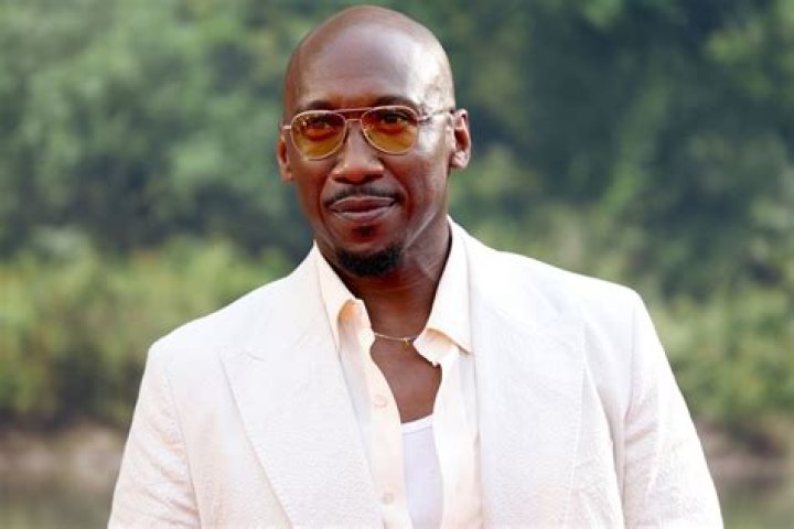 Mahershala Ali net worth Mahershala ali, Richest celebrities, Net worth