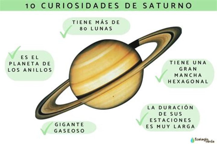 Marshall Trenkmann 5 curiosidades sobre o marido de Karla Souza