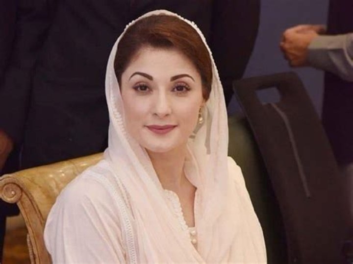 Why Was Maryam Nawaz Son Junaid Safdar Arrested | Family Maryam Nawaz