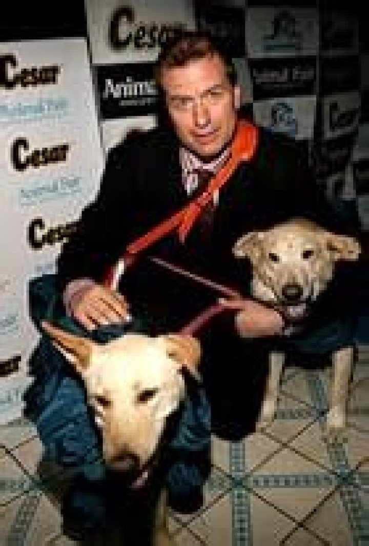 Matt Moline IMDb
