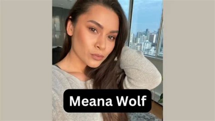 Meana Wolf Wiki