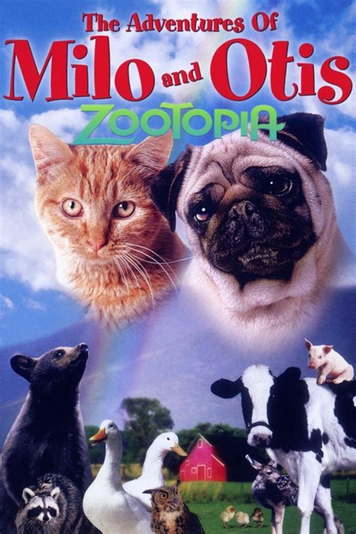 Milo and Otis Animal Cruelty? Pets & Animals Forum Neoseeker Forums