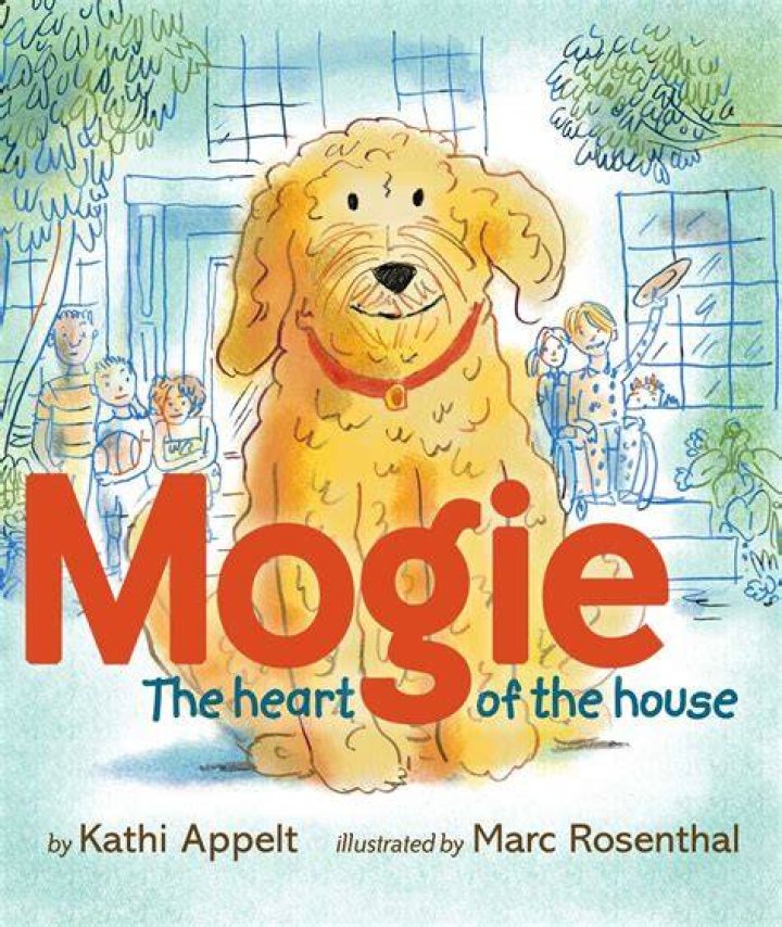 Mogie's pub shooting What happened to David Magill? Mogie's owner