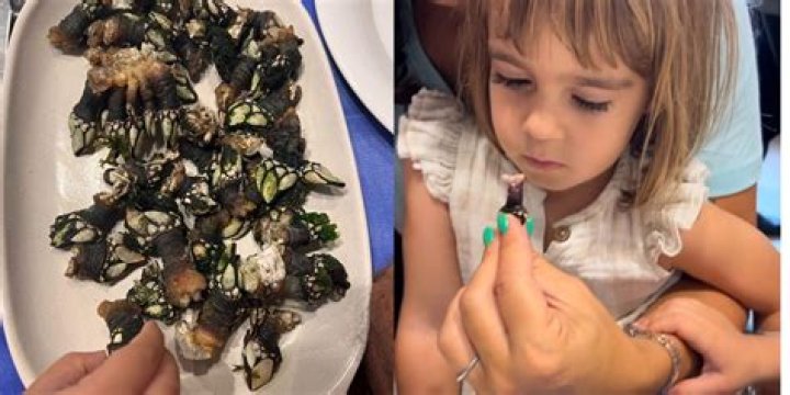 My Kids Tried Galician Percebes, One of the Most Expensive Kinds of Seafood