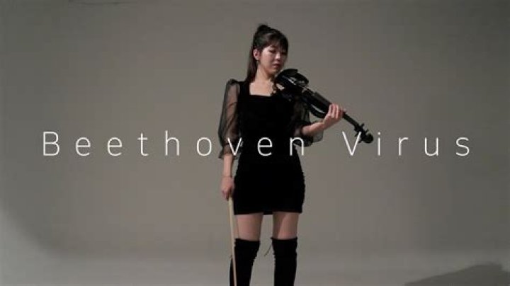 [New Version] Beethoven Virus - Electric Violin COVER - violin cover rock songs