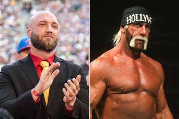 Nick Hogan Pro Wrestling Wiki Divas, Knockouts, Results, Match