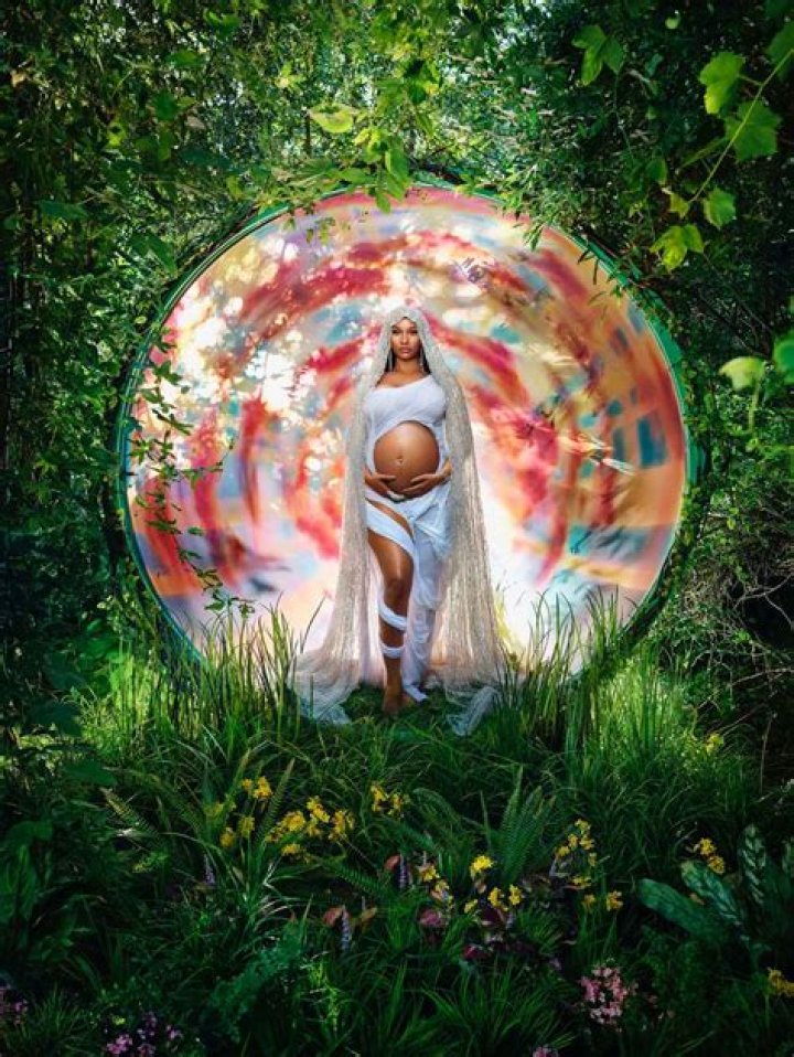 Nicki Minaj’s Baby Bump Album Pregnancy Pics Ahead of 1st Child