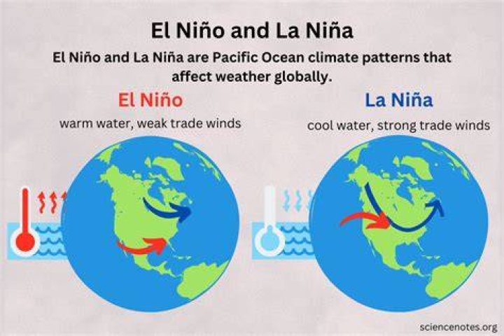 Nina García Wikipedia