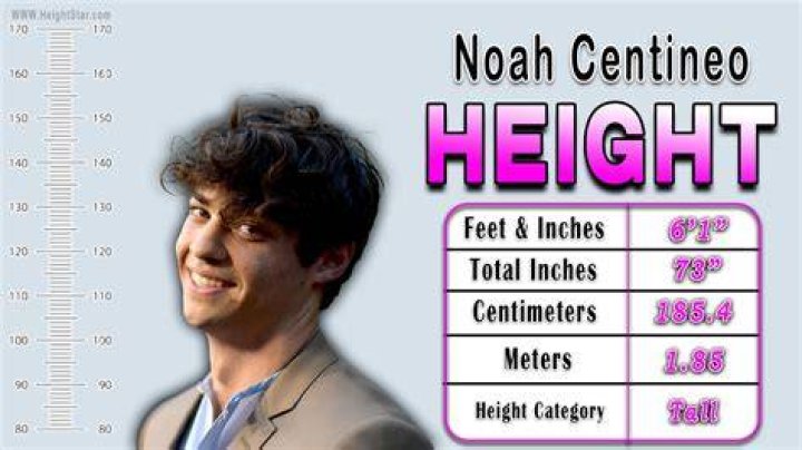Noah Centineo Age, Weight, Height, Measurements Celebrity Sizes