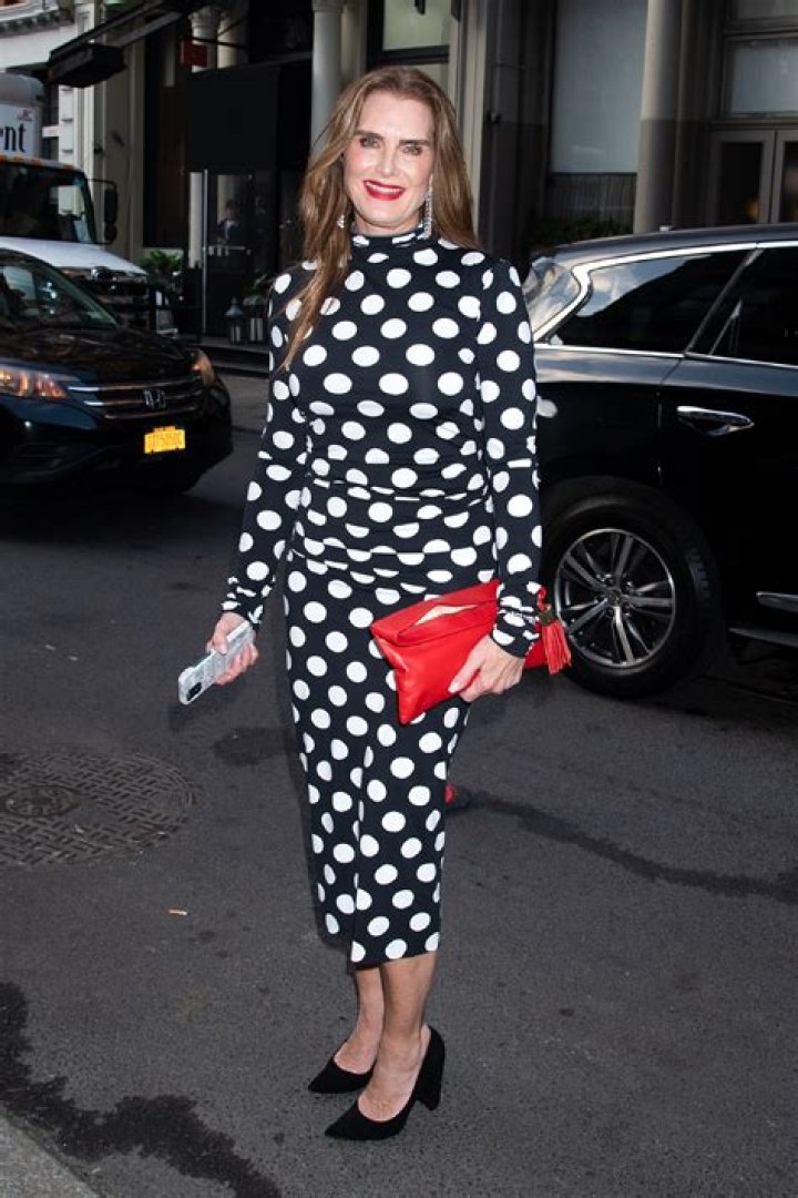 Olympia Shields Is a Math Teacher Facts about Brooke Shields' Half