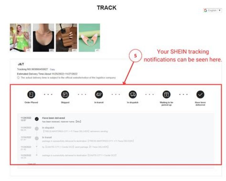Ordering From Shein After The RICO Investigation