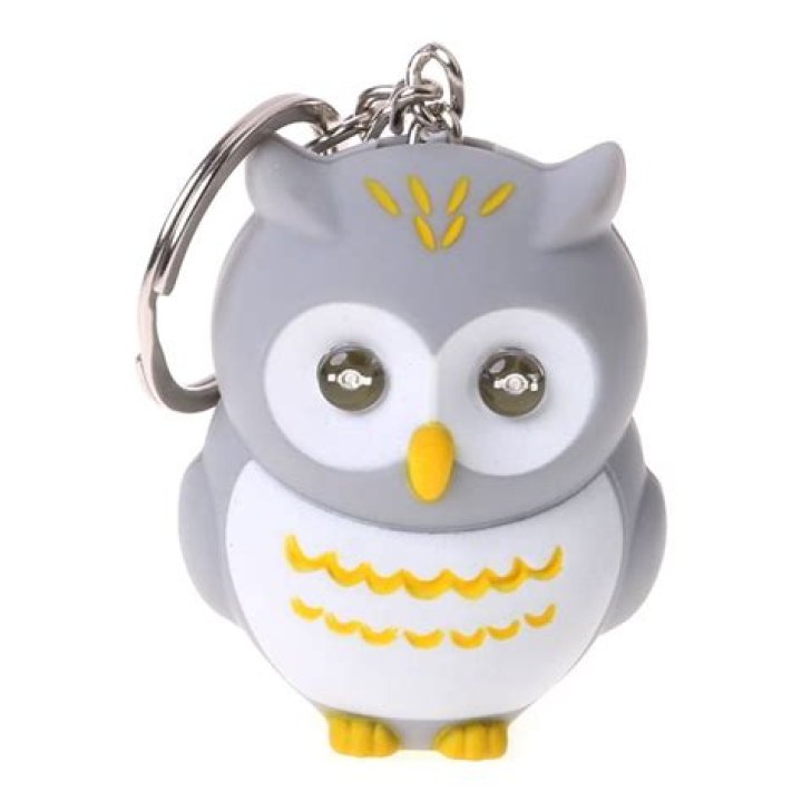 Owl Gifts, Owl Keyring, Owl Keychain, Gifts for Owl Lover, Owl Gifts