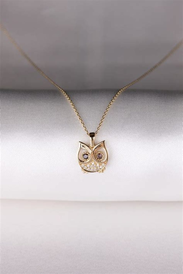 Owl Necklace Owl Lover Unique Gifts Birthday Gift Etsy in 2020