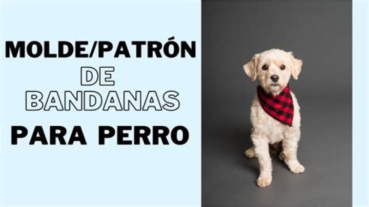 PA&Ntilde;UELOS, BRAGAS O BANDANAS PARA LA QUIMIO (TUTORIAL LARGO) Africa