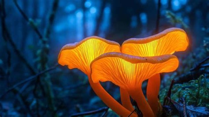 Photos That Illuminate A Journey