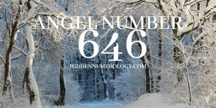 PicoDash | ANGEL NUMBER 646