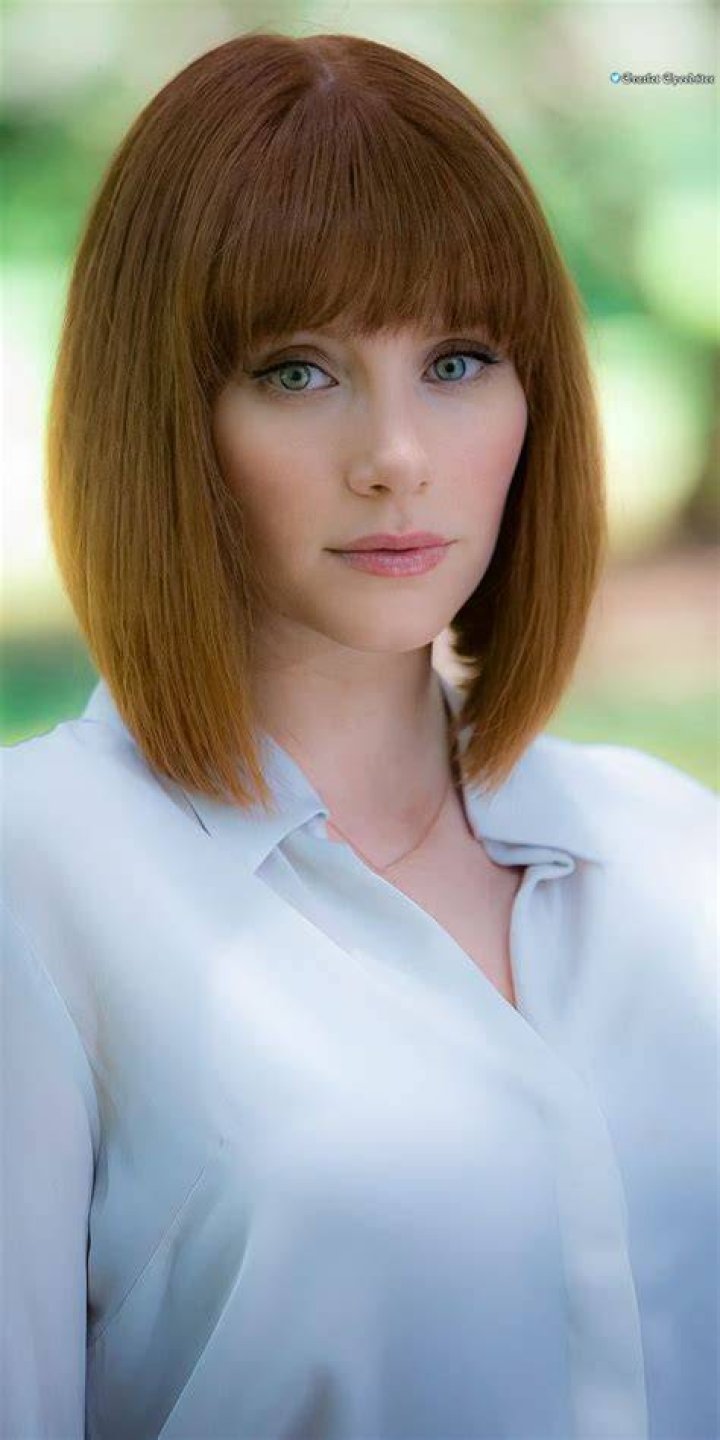 Pin by Elena on Bryce Dallas Howard News Redheads, Bryce dallas
