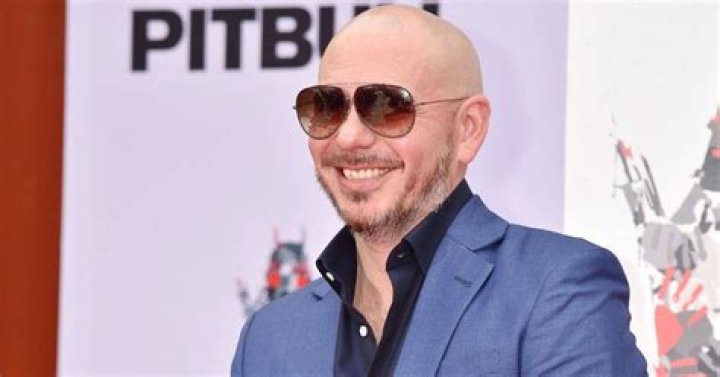 Pitbull Net Worth From Street Swagger To