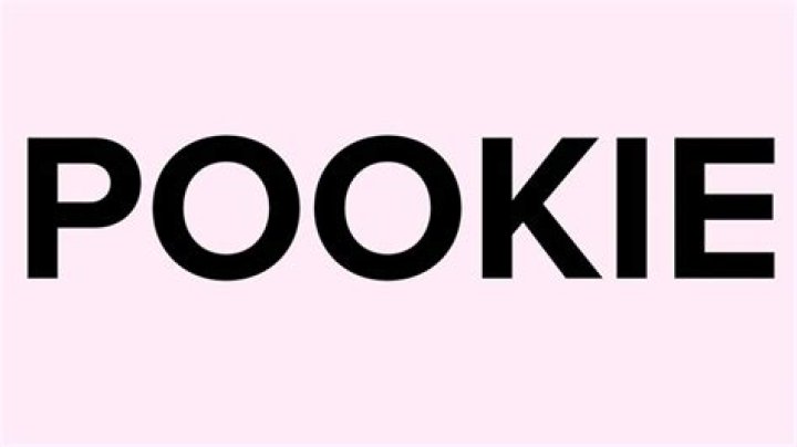 Pookie Slang Meaning What Does Pookie Mean on TikTok? Know Pookie