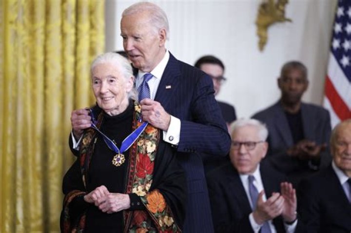 Presidential Medal Of Freedom Recipient, Raccoon-cooper