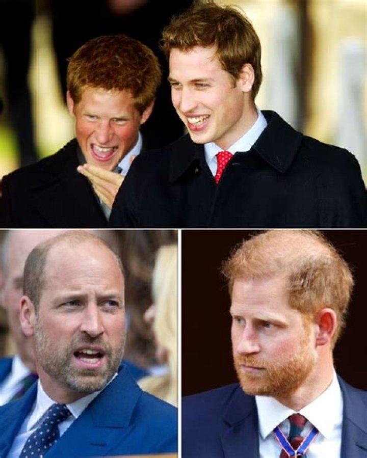 Prince Gay marriage isn't right Prince The Guardian