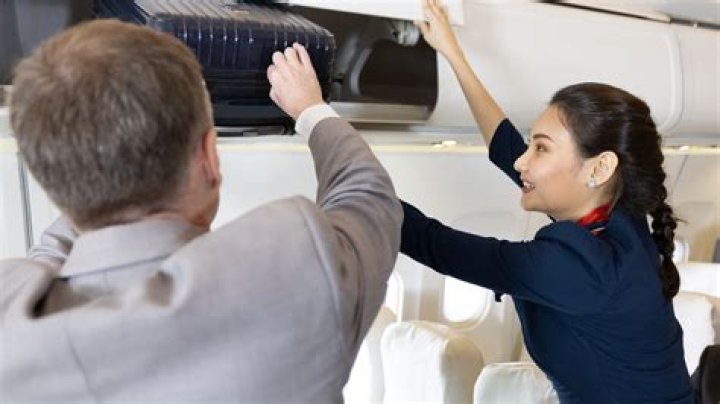 Puppy Dies On United Flight After Flight Attendant Stores It In Overhead Bin ·