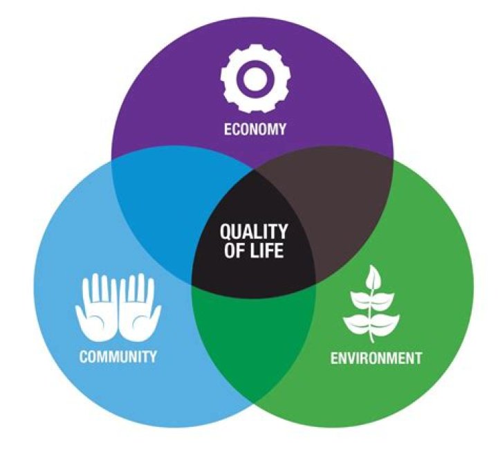 Quality Of Life, Raccoon-cooper